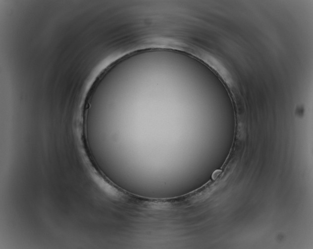 X0000101201136200807071308