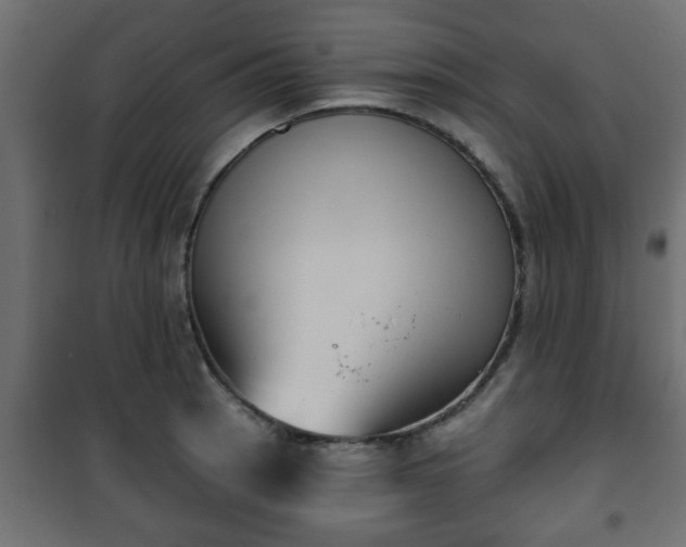 X0000101201137200807071308