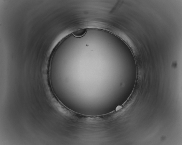 X0000101201138200807071308