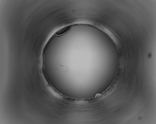 X0000101201140200807071308