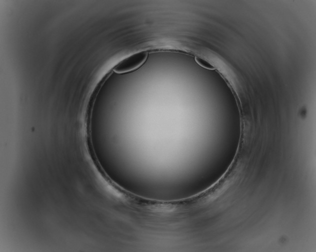 X0000101201141200807071308
