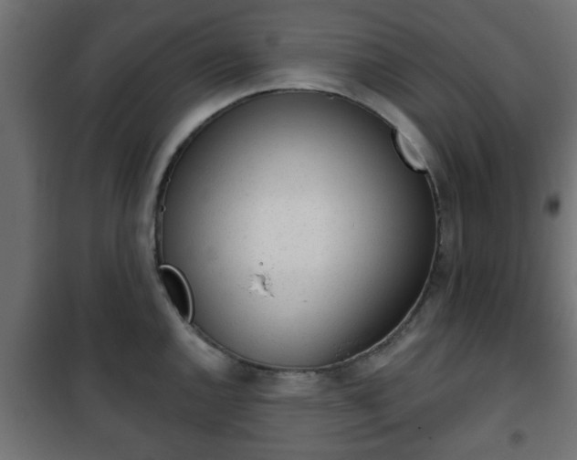 X0000101201144200807071308