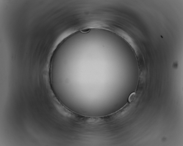 X0000101201146200807071308
