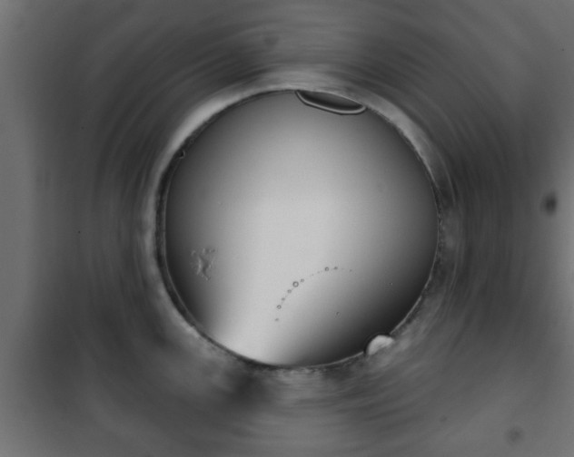 X0000101201147200807071308