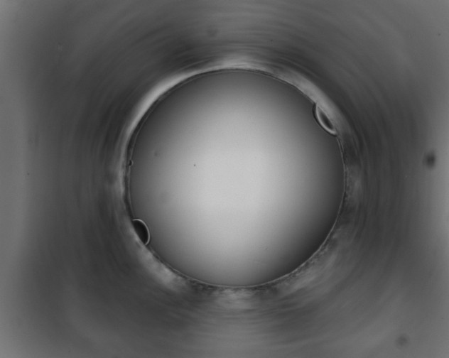 X0000101201148200807071308