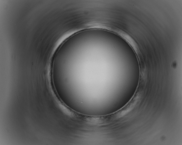 X0000101201149200807071308