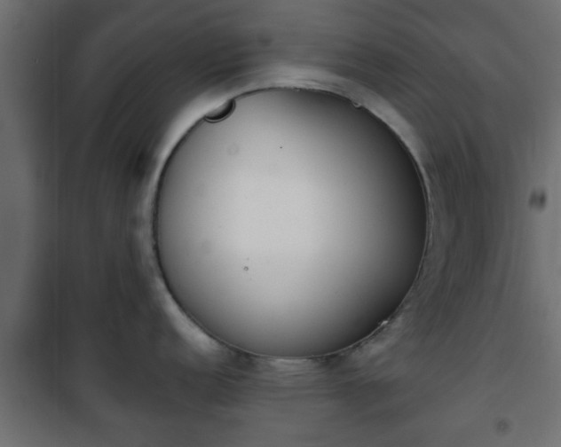 X0000101201152200807071308