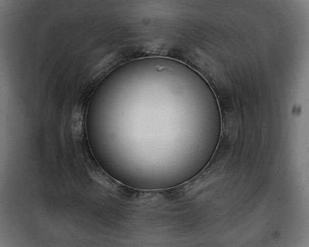 X0000101201154200807071308