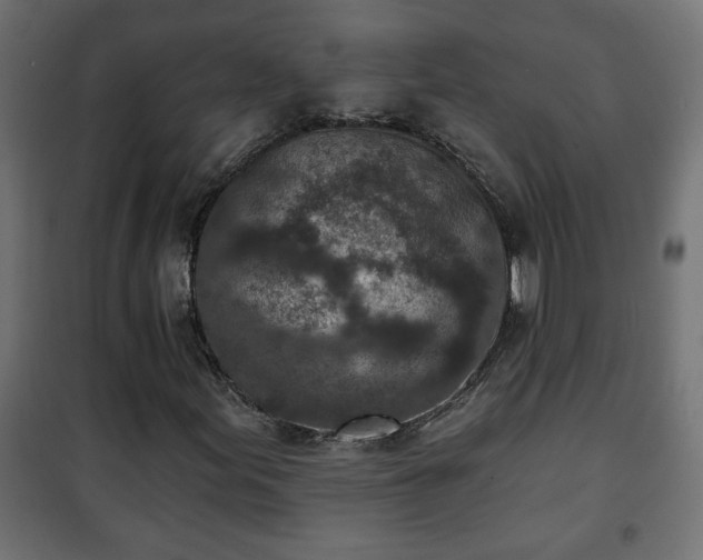 X0000101201155200807071308