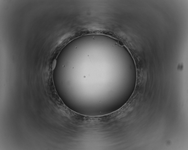 X0000101201157200807071308