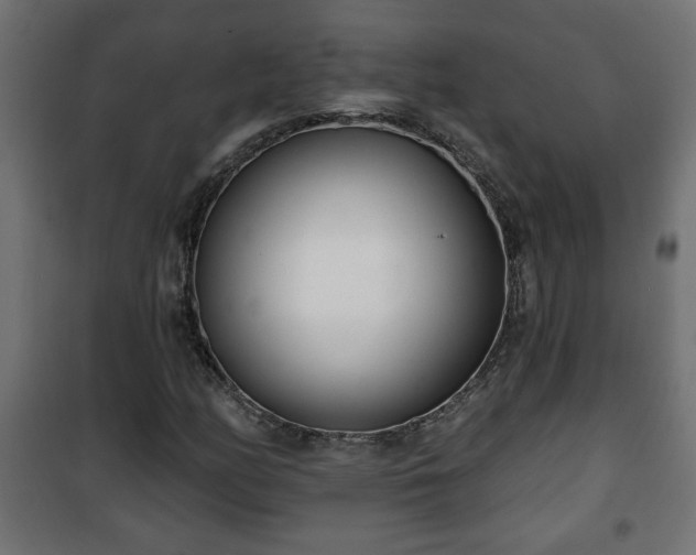 X0000101201158200807071308