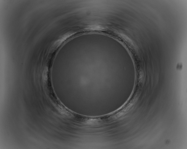 X0000101201161200807071308