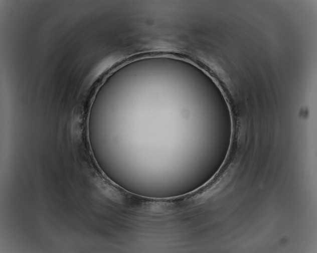 X0000101201163200807071308