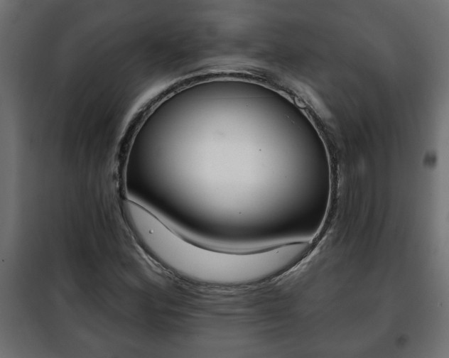 X0000101201164200807071308