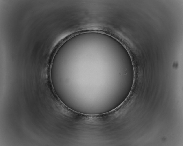 X0000101201166200807071308