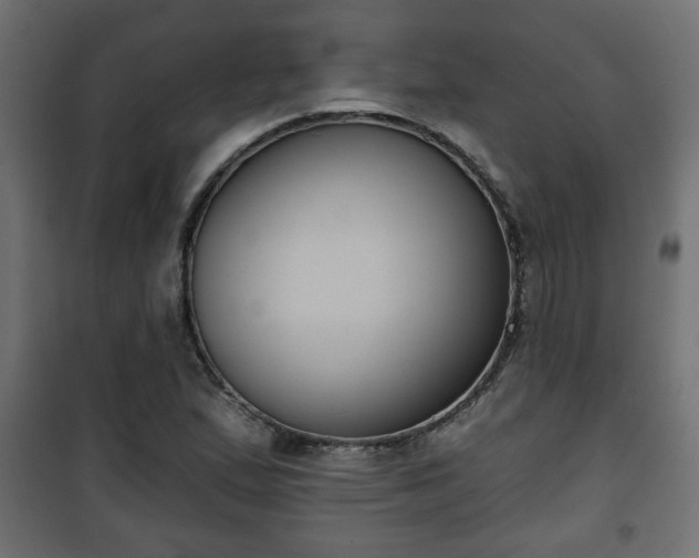 X0000101201167200807071308