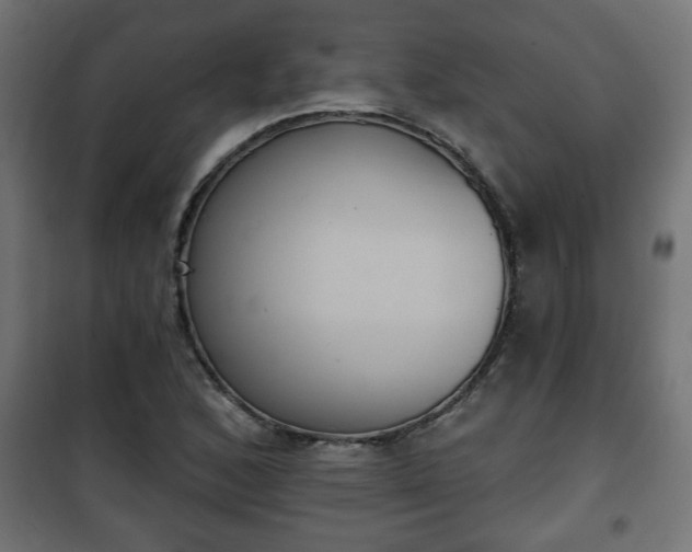 X0000101201168200807071307
