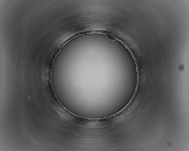 X0000101201169200807071307