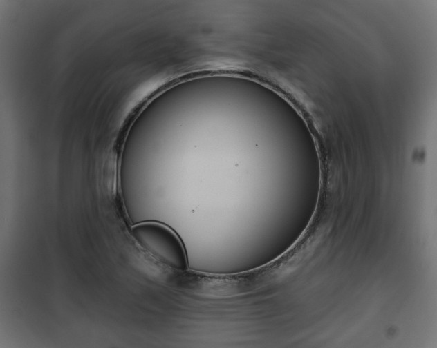 X0000101201171200807071307