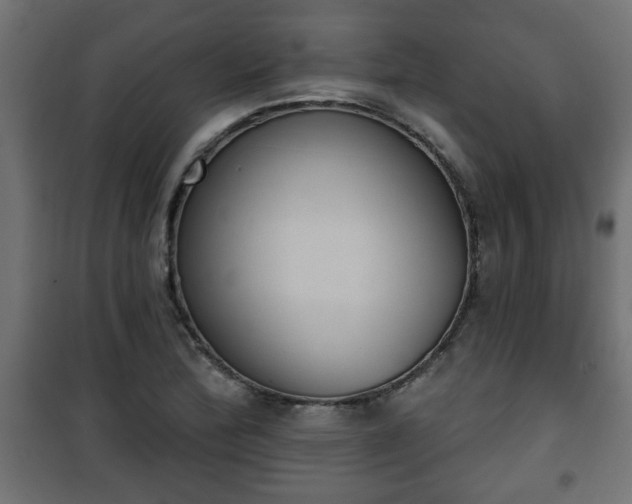 X0000101201172200807071307