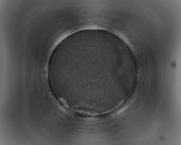 X0000101201173200807071307