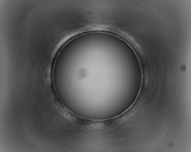 X0000101201174200807071307