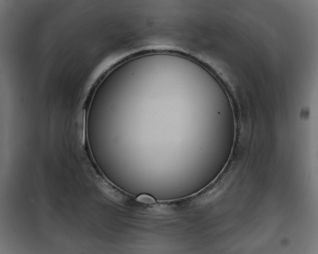 X0000101201175200807071307