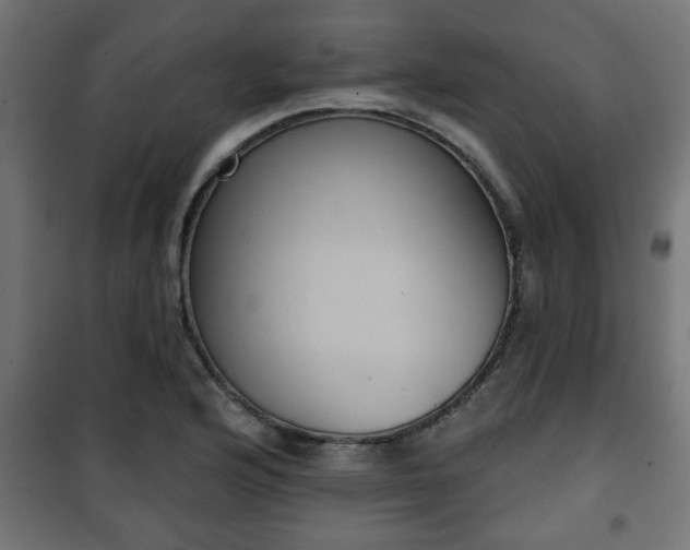X0000101201176200807071307