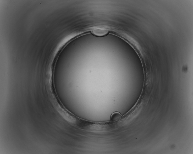 X0000101201179200807071307