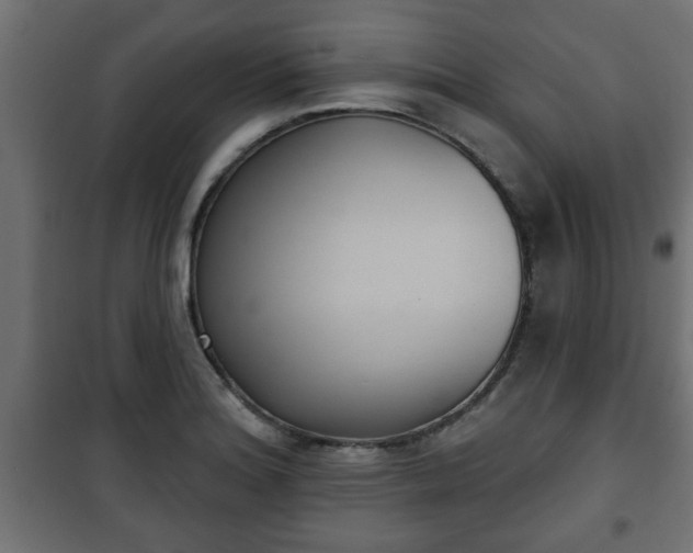 X0000101201180200807071307