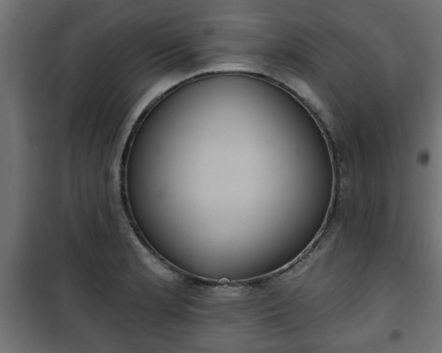 X0000101201181200807071307