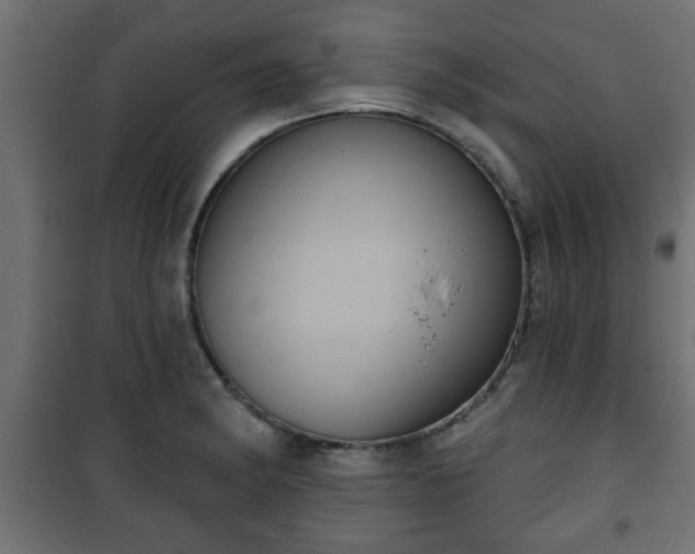X0000101201182200807071307
