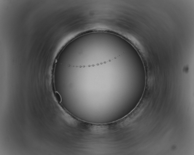 X0000101201183200807071307