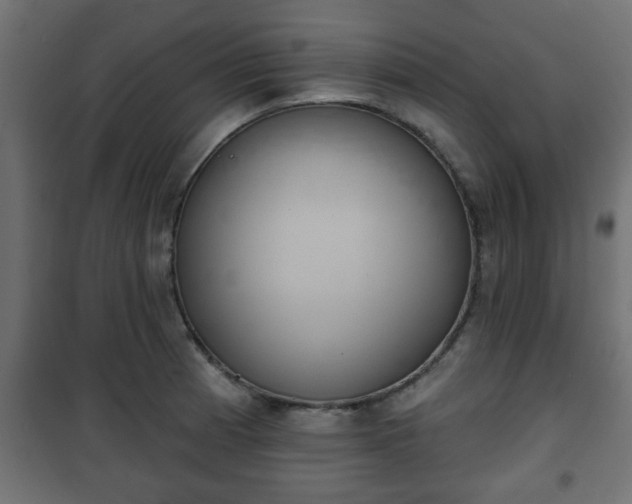 X0000101201185200807071307
