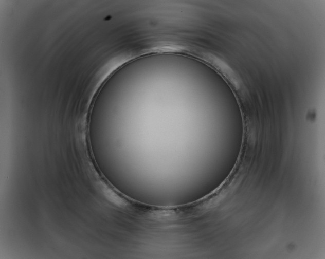 X0000101201186200807071307
