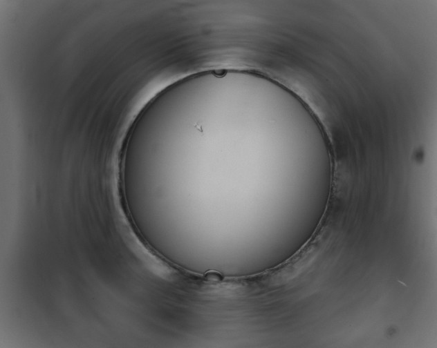 X0000101201187200807071307