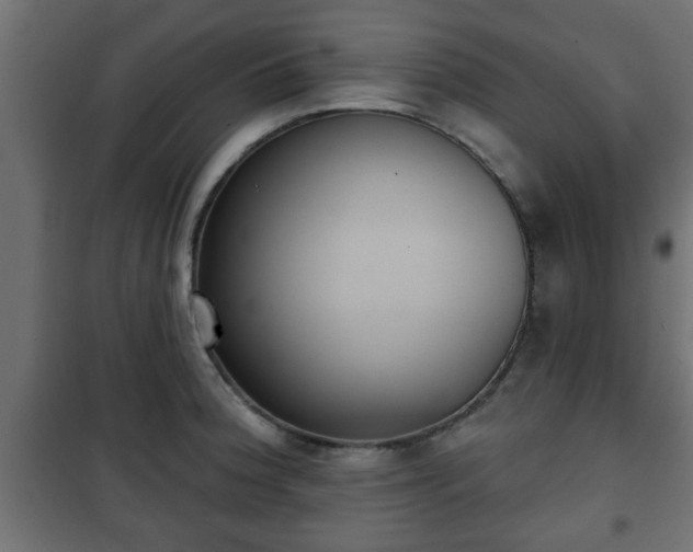 X0000101201188200807071307