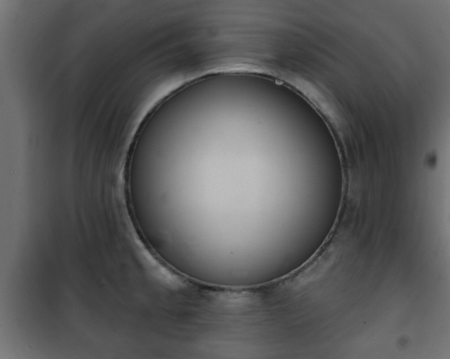X0000101201189200807071307