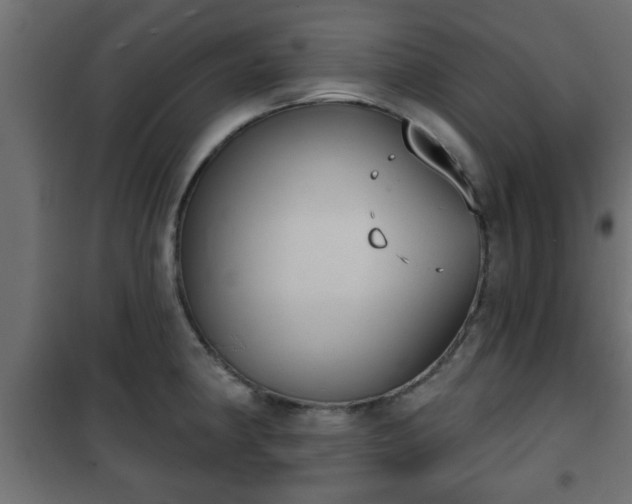 X0000101201190200807071307