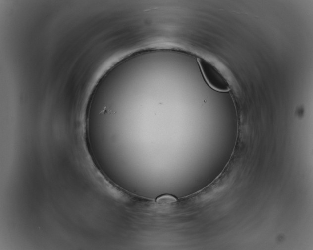 X0000101201191200807071307