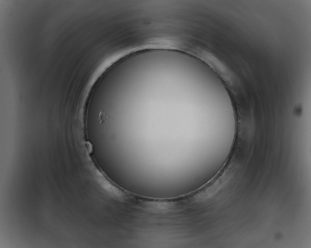 X0000101201192200807071307