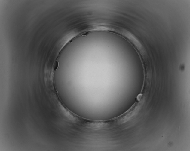 X0000101201193200807071307