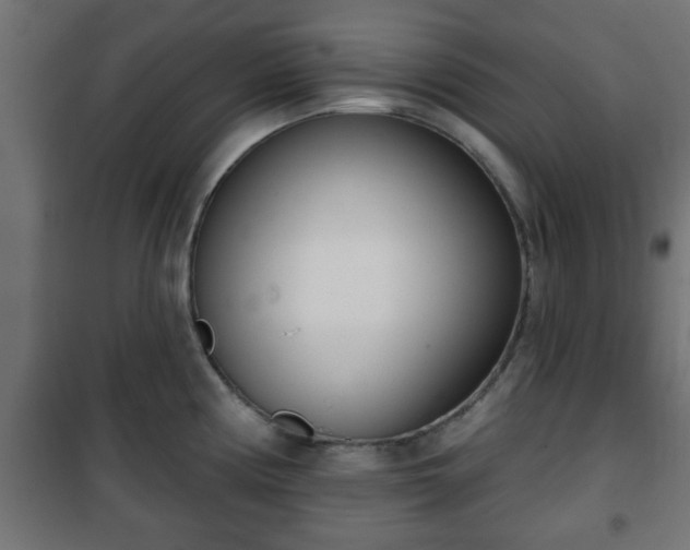 X0000101201194200807071307