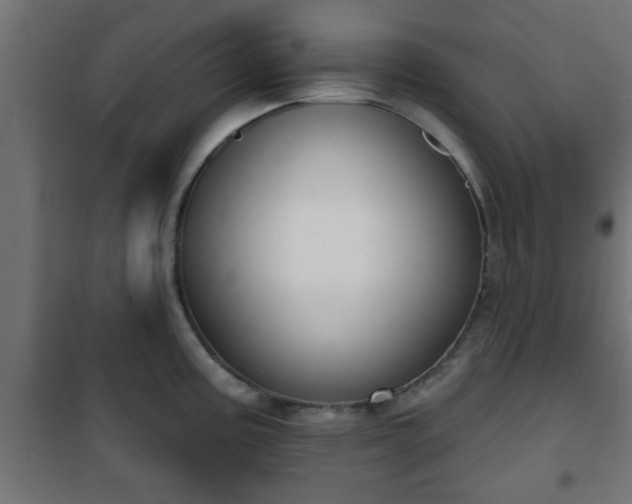X0000101201195200807071307