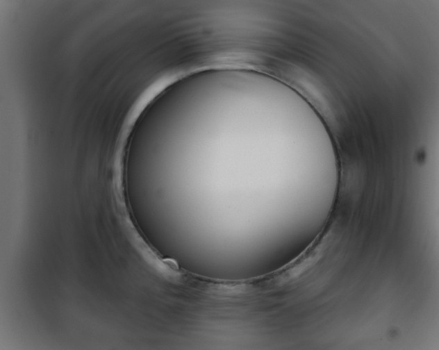 X0000101201196200807071307