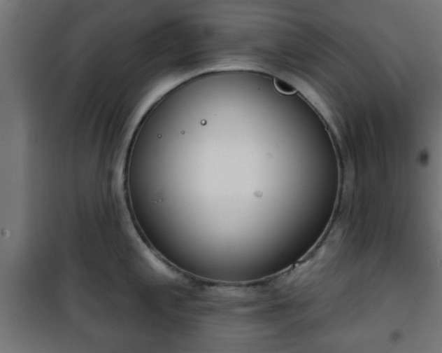 X0000101201197200807071307