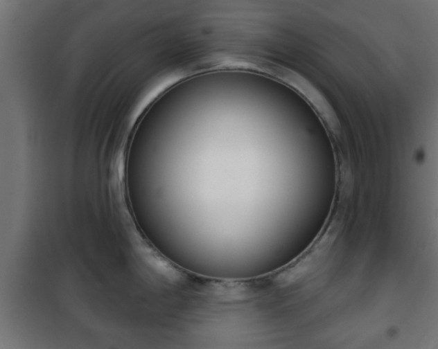 X0000101201198200807071307