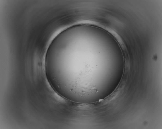 X0000101201199200807071307