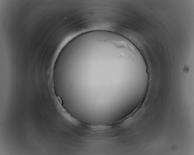 X0000101201200200807071307