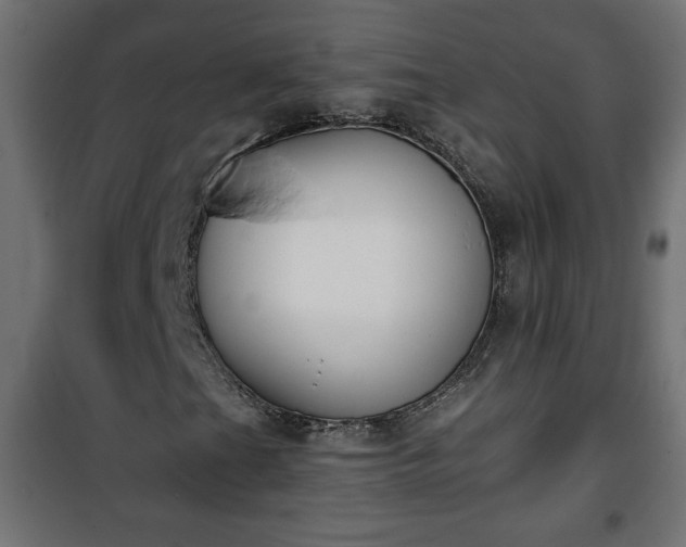 X0000101201201200807071306